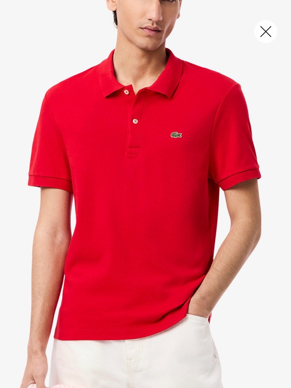 Lacoste Men’s polo L in Men’s